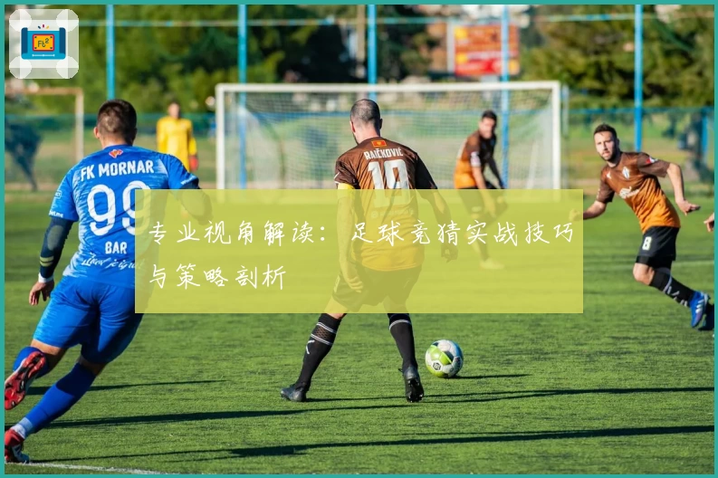 专业视角解读：足球竞猜实战技巧与策略剖析
