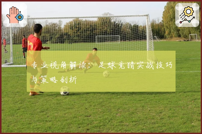 专业视角解读：足球竞猜实战技巧与策略剖析