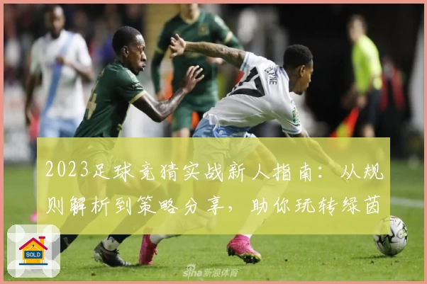 2023足球竞猜实战新人指南：从规则解析到策略分享，助你玩转绿茵分析