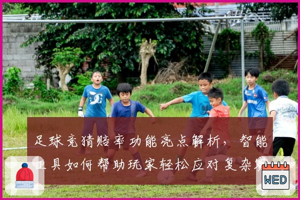 足球竞猜赔率功能亮点解析，智能工具如何帮助玩家轻松应对复杂赛况