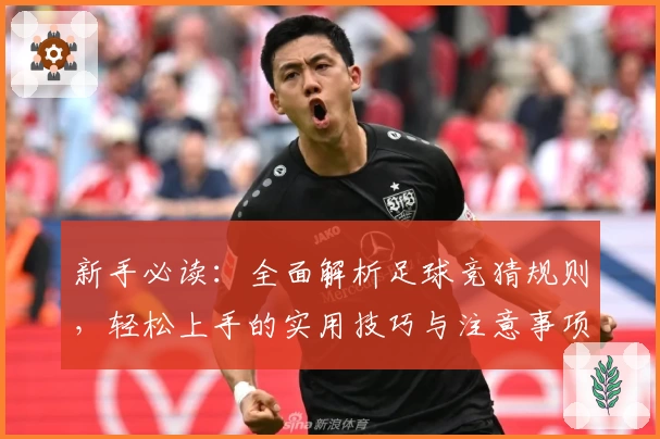 新手必读:全面解析足球竞猜规则,轻松上手的实用技巧与注意事项