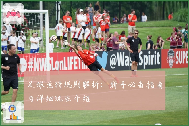 足球竞猜规则解析：新手必备指南与详细玩法介绍
