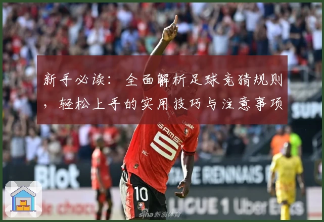 新手必读:全面解析足球竞猜规则,轻松上手的实用技巧与注意事项